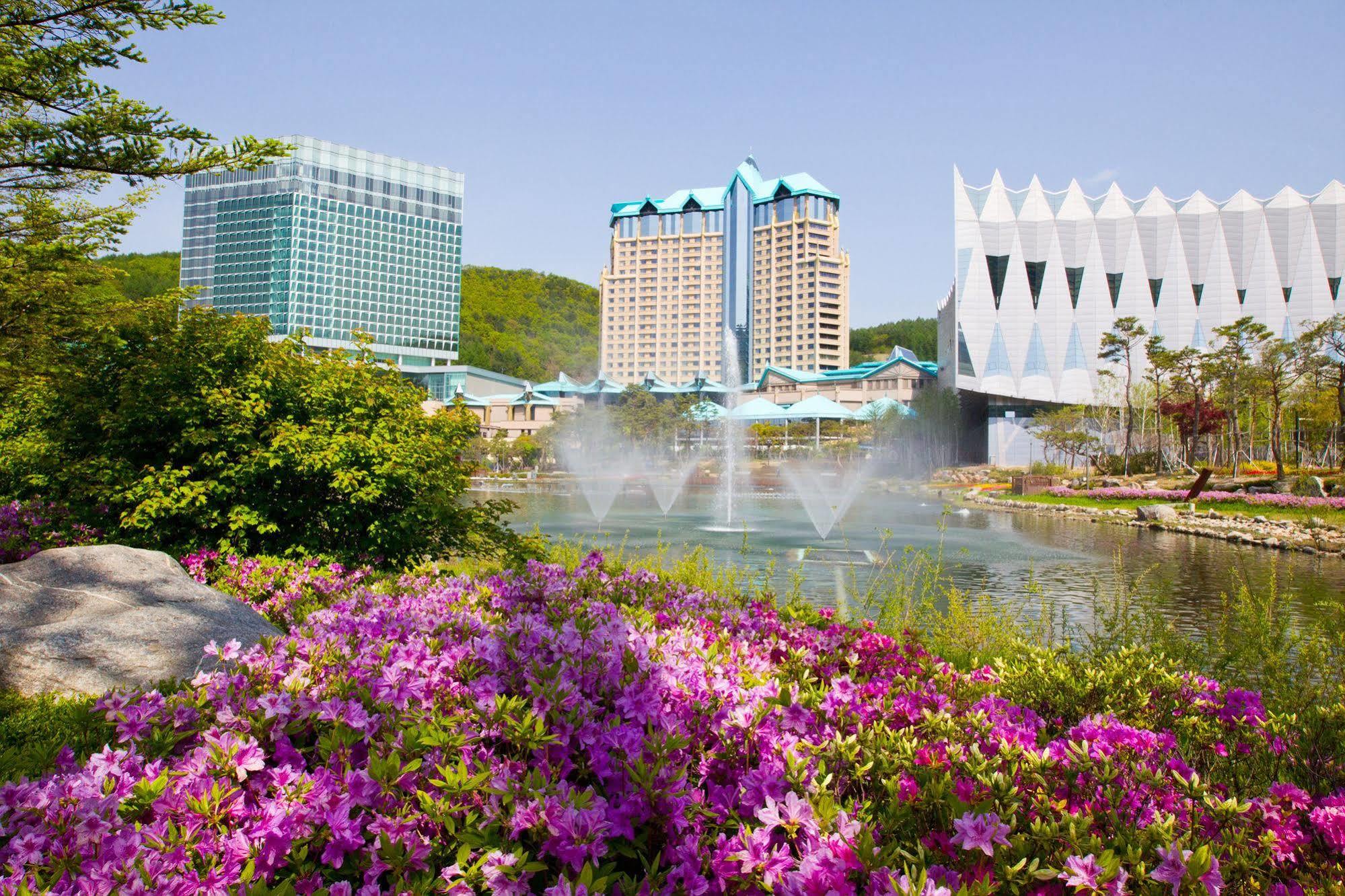 High1 Grand Hotel Main Tower Jeongseon Exterior foto
